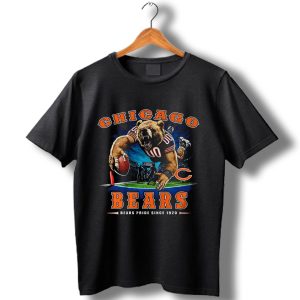 Chicago Bears End Zone Nfl T-Shirt