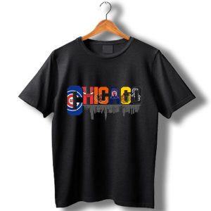 Nice Chicago Sport Teams Cubs Bulls Bears Blackhawks White Sox T-Shirt