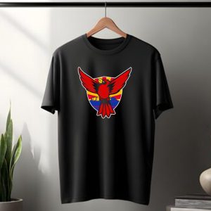 Phoenix Arizona Cardinals Sunburst T-Shirt